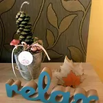 Relax Wellness Paradsasvar