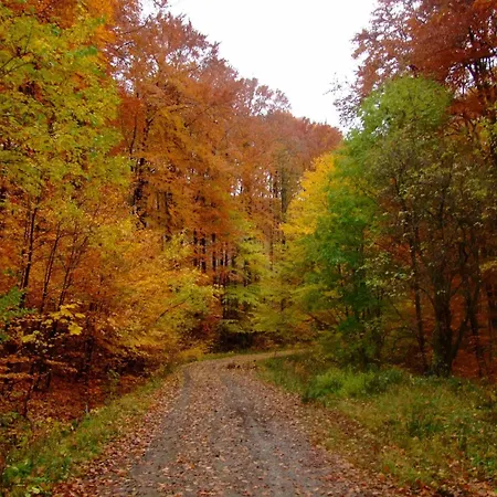 Relax Wellness Апартаменты Парадшашвар