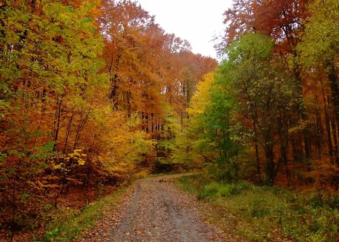 Relax Wellness Apartman Parádsasvár