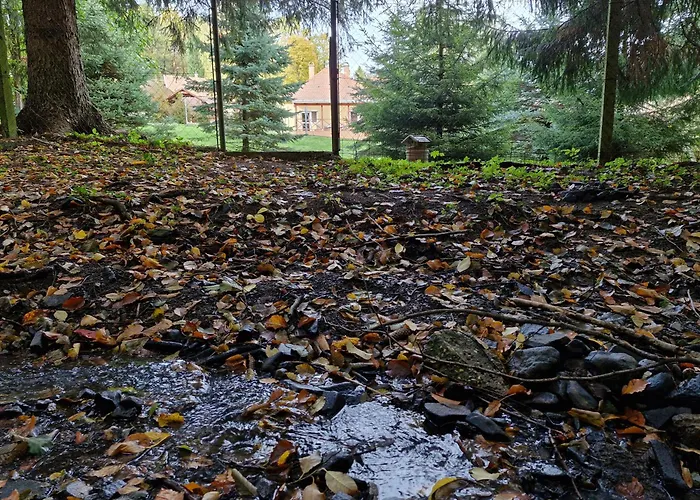 Apartament Relax Wellness Parádsasvár