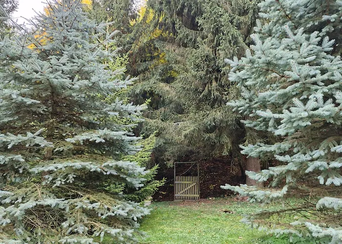 Apartman Relax Wellness *