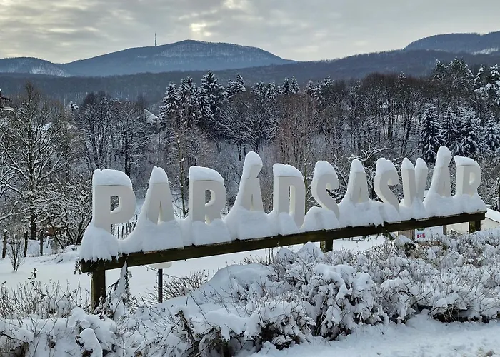 Relax Wellness Apartman