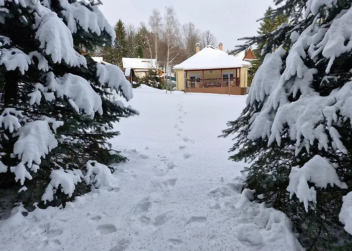 Relax Wellness Apartman *