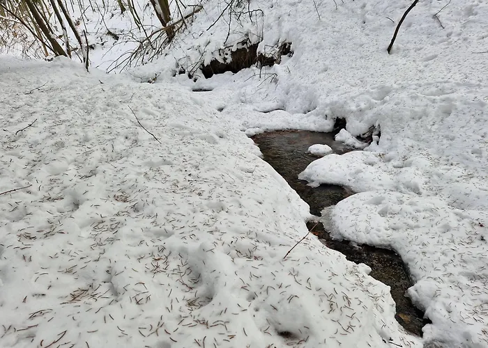 Apartman Relax Wellness *